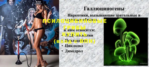кокс Белокуриха