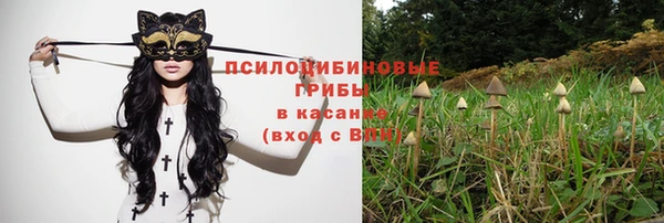 бошки Белоозёрский