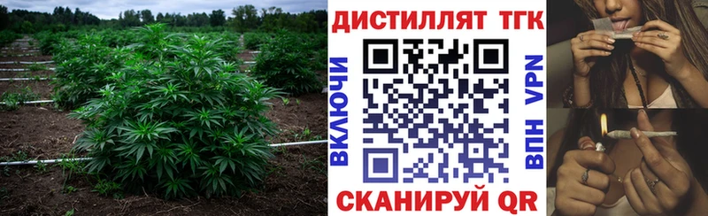 ТГК вейп  Надым 