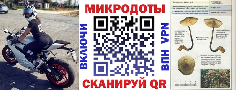 Псилоцибиновые грибы GOLDEN TEACHER  Надым 